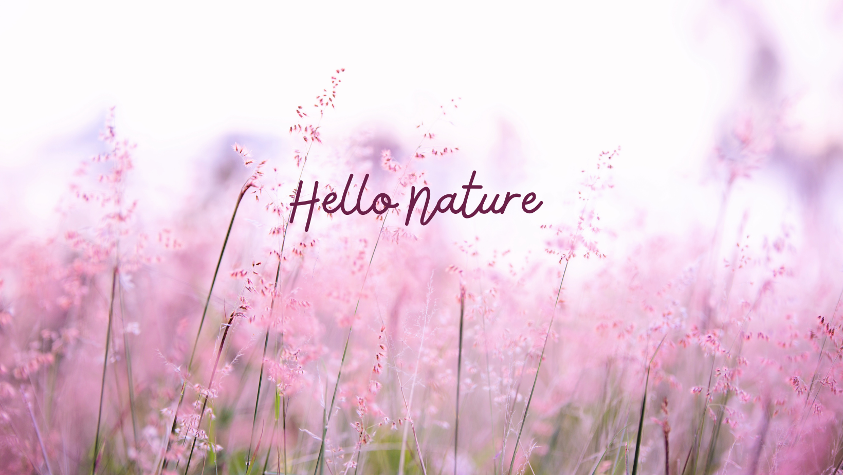 hello nature cover