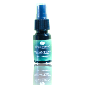 MINI OLFACTION+ Hair Perfume Mist