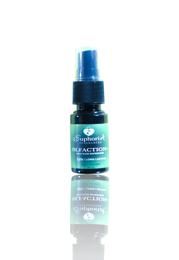 MINI OLFACTION+ Hair Perfume Mist